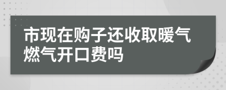 市現(xiàn)在購子還收取暖氣燃氣開口費嗎