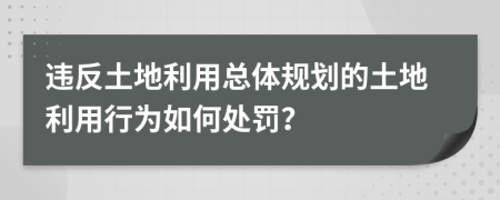 違反土地利用總體規(guī)劃的土地利用行為如何處罰？