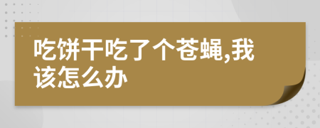 吃餅干吃了個(gè)蒼蠅,我該怎么辦
