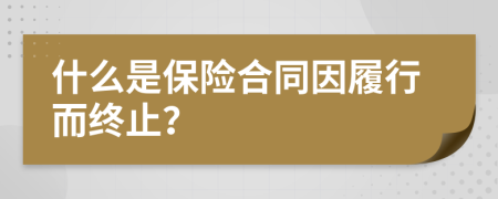 什么是保險合同因履行而終止？