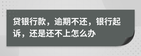 贷银行款，逾期不还，银行起诉，还是还不上怎么办