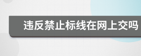 違反禁止標(biāo)線在網(wǎng)上交嗎