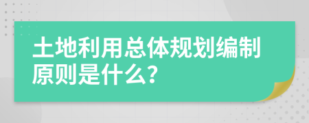 土地利用總體規(guī)劃編制原則是什么？