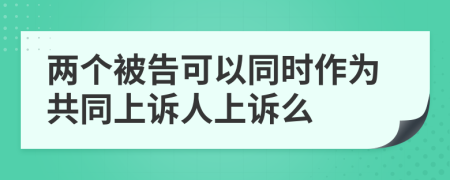 兩個被告可以同時作為共同上訴人上訴么