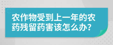 農(nóng)作物受到上一年的農(nóng)藥殘留藥害該怎么辦？