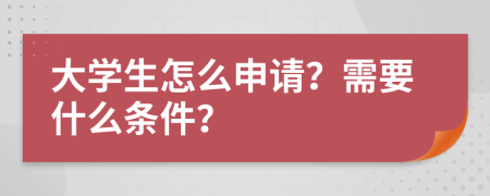 大學(xué)生怎么申請？需要什么條件？