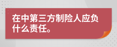 在中第三方制險(xiǎn)人應(yīng)負(fù)什么責(zé)任。
