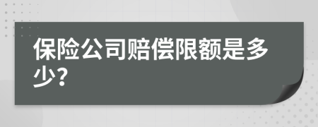 保險公司賠償限額是多少？