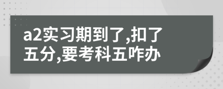 a2實習(xí)期到了,扣了五分,要考科五咋辦