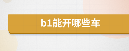 b1能開哪些車