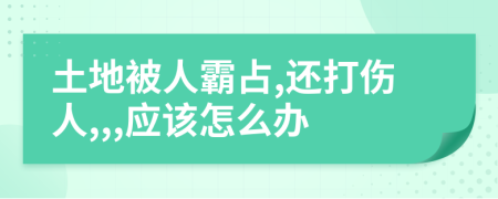 土地被人霸占,還打傷人,,,應(yīng)該怎么辦
