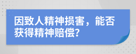 因致人精神損害，能否獲得精神賠償？