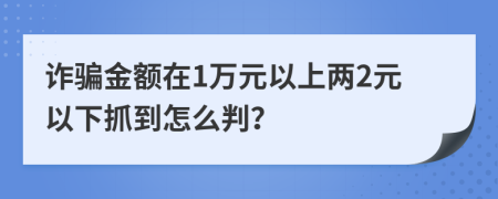詐騙金額在1萬元以上兩2元以下抓到怎么判？