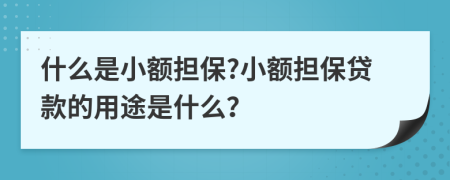 什么是小額擔(dān)保?小額擔(dān)保貸款的用途是什么？