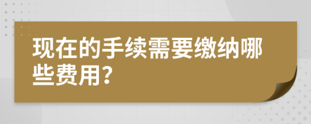 現(xiàn)在的手續(xù)需要繳納哪些費(fèi)用？