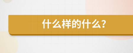 什么樣的什么？
