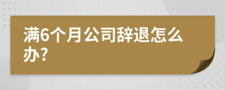 滿6個(gè)月公司辭退怎么辦?