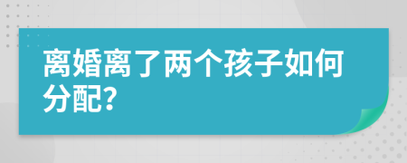 離婚離了兩個孩子如何分配？
