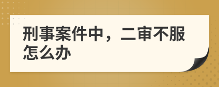 刑事案件中，二審不服怎么辦