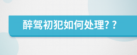 醉駕初犯如何處理? ?