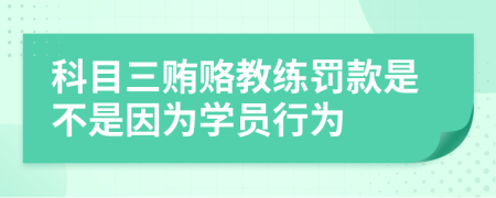 科目三賄賂教練罰款是不是因為學員行為