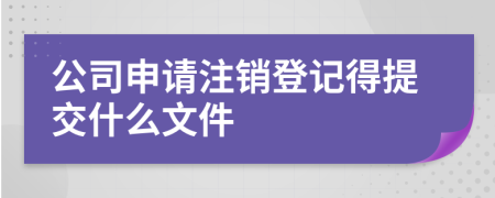 公司申請(qǐng)注銷(xiāo)登記得提交什么文件