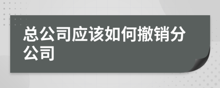 總公司應該如何撤銷分公司