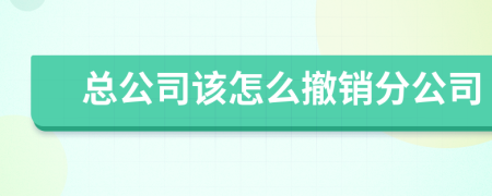總公司該怎么撤銷分公司