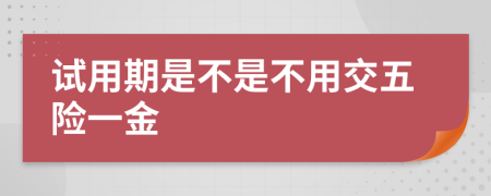試用期是不是不用交五險(xiǎn)一金