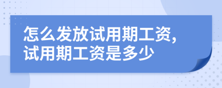 怎么發(fā)放試用期工資,試用期工資是多少