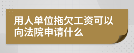 用人單位拖欠工資可以向法院申請(qǐng)什么