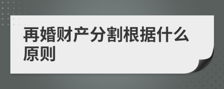 再婚財產(chǎn)分割根據(jù)什么原則