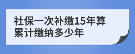 社保一次補繳15年算累計繳納多少年