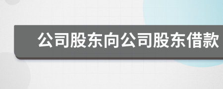 公司股東向公司股東借款