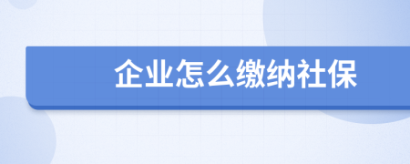 企業(yè)怎么繳納社保
