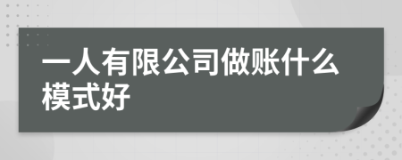 一人有限公司做賬什么模式好