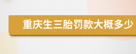 重慶生三胎罰款大概多少
