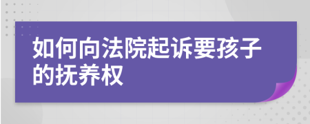 如何向法院起訴要孩子的撫養(yǎng)權(quán)