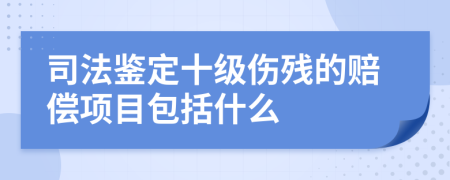 司法鑒定十級(jí)傷殘的賠償項(xiàng)目包括什么