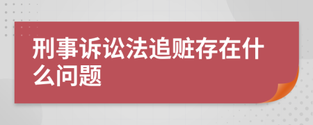 刑事訴訟法追贓存在什么問題