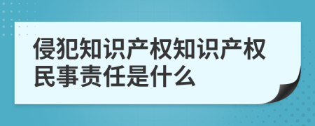 侵犯知識產(chǎn)權(quán)知識產(chǎn)權(quán)民事責任是什么