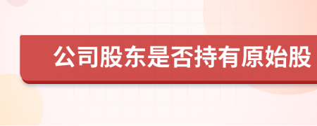公司股東是否持有原始股