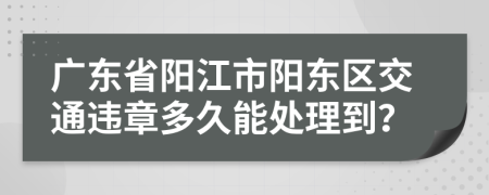 廣東省陽(yáng)江市陽(yáng)東區(qū)交通違章多久能處理到？