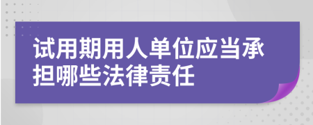 試用期用人單位應(yīng)當(dāng)承擔(dān)哪些法律責(zé)任