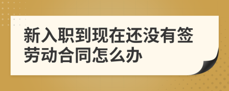 新入職到現在還沒有簽勞動合同怎么辦