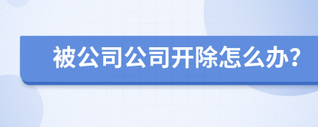 被公司公司開除怎么辦？