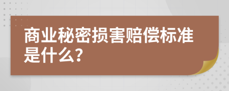商業(yè)秘密損害賠償標準是什么？