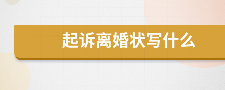 起訴離婚狀寫什么