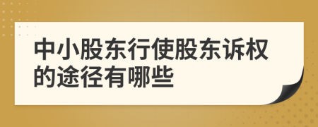 中小股東行使股東訴權(quán)的途徑有哪些