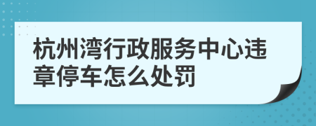 杭州灣行政服務(wù)中心違章停車怎么處罰